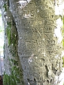 Dublino e Galway_023